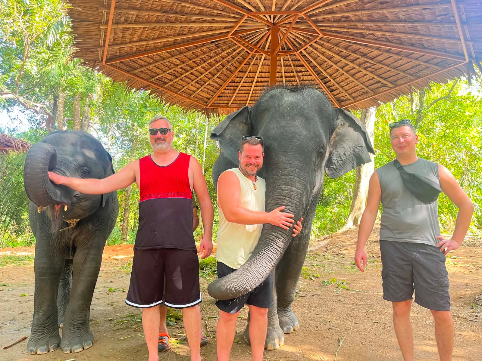 AREN'T THEY JUST THE BESTEST? 🐘🐘