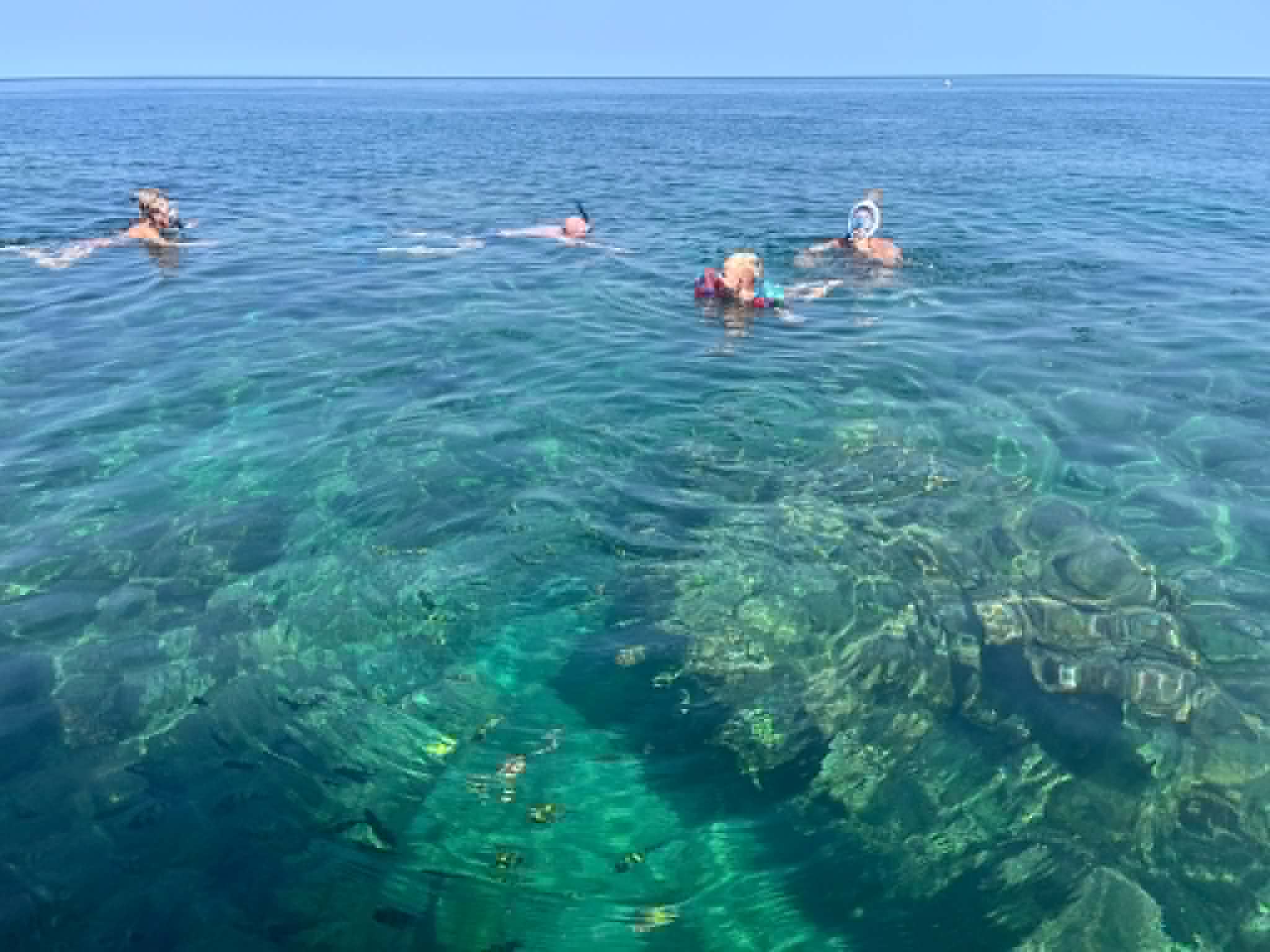 CLEAR-WATER SNORKELING