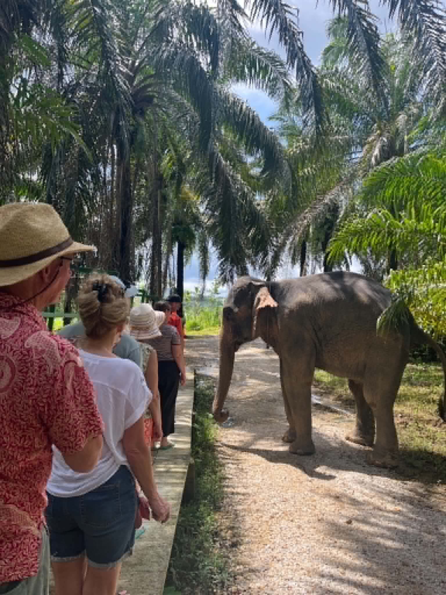 ELEPHANT CONSERVATION