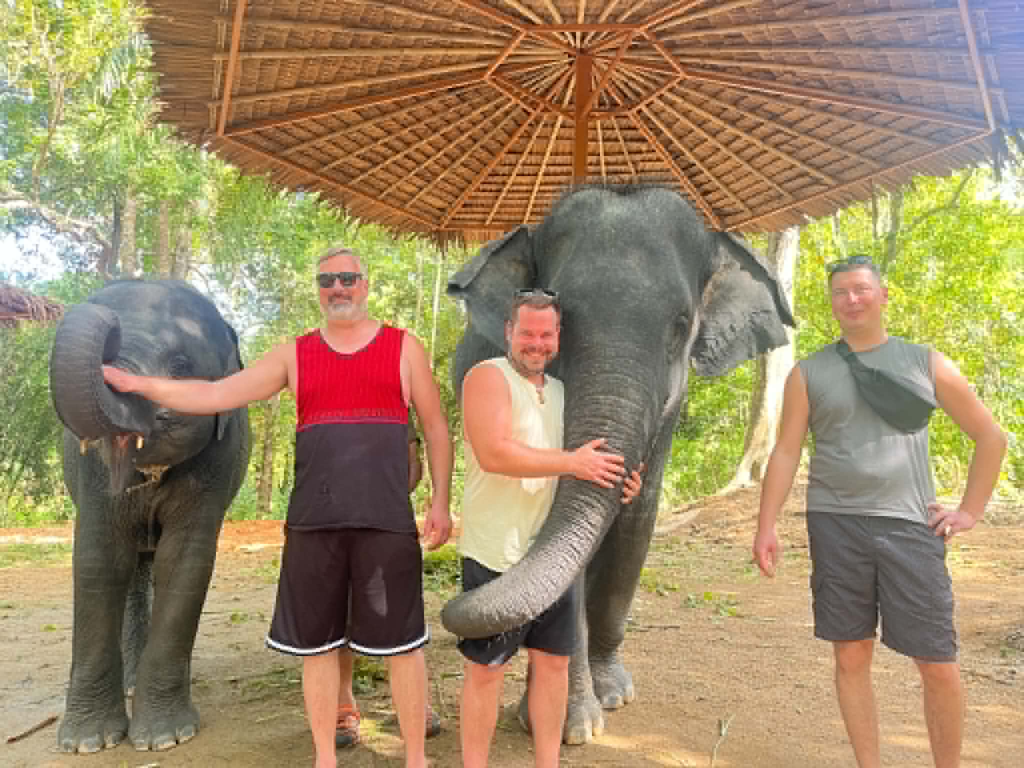 ELEPHANT TIME